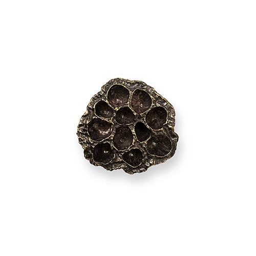 Comb EA1022
