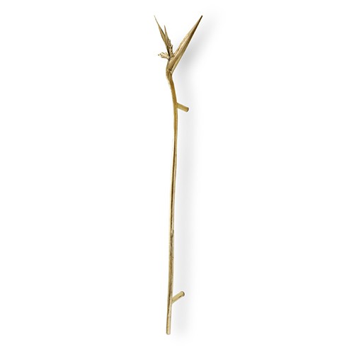 Strelitzia EA1061
